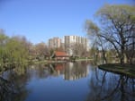 Kitchener