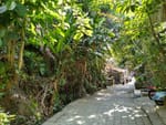 Ubud
