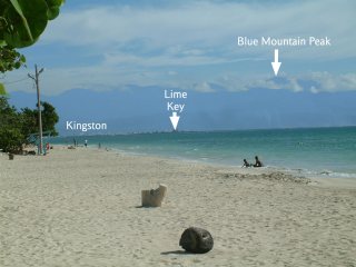 Kingston