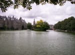 The Hague